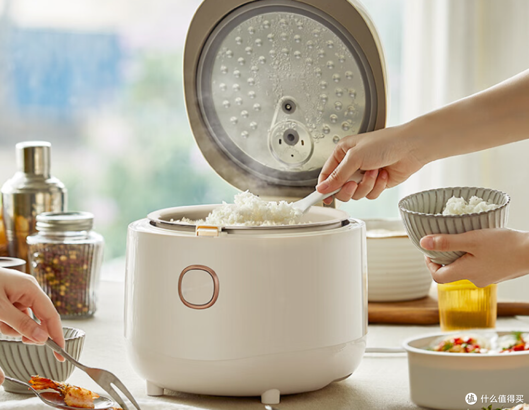 电饭煲哪个牌子性价比好?五款实用品牌专业推荐!