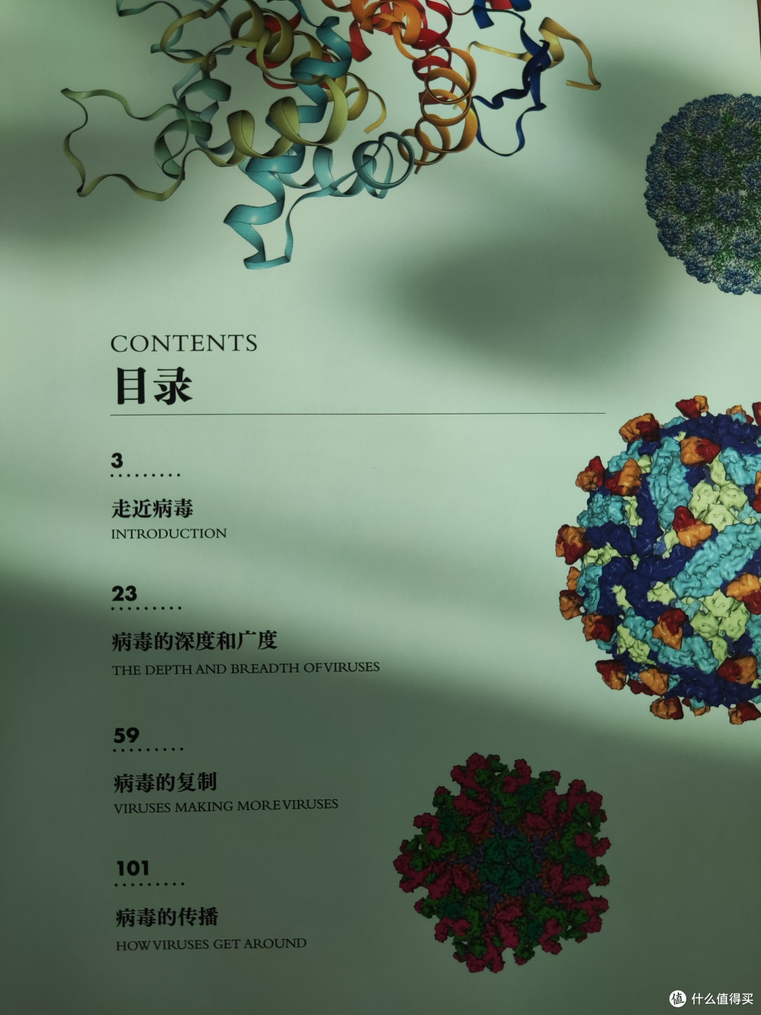 《病毒》大流行