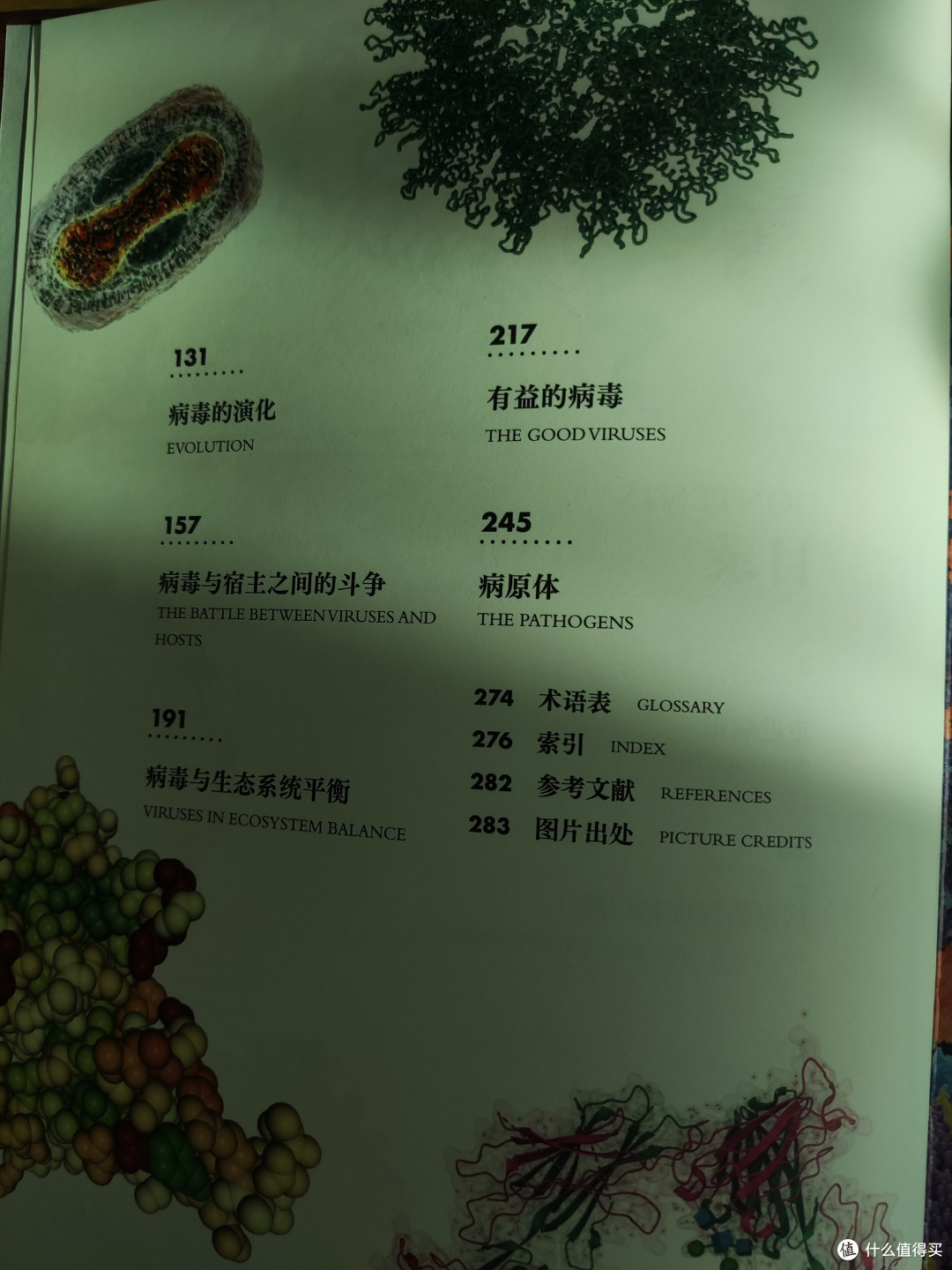 《病毒》大流行
