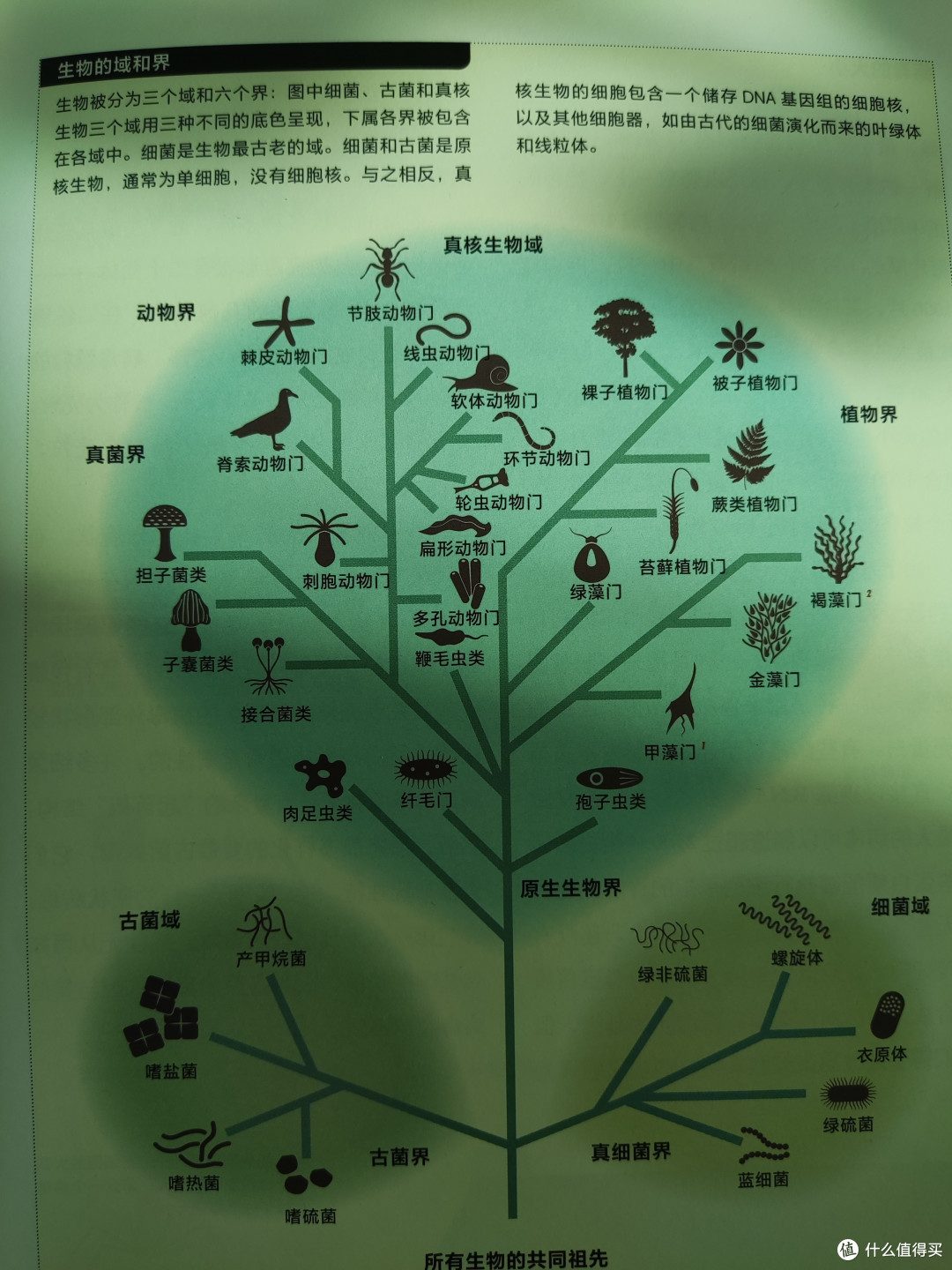 《病毒》大流行