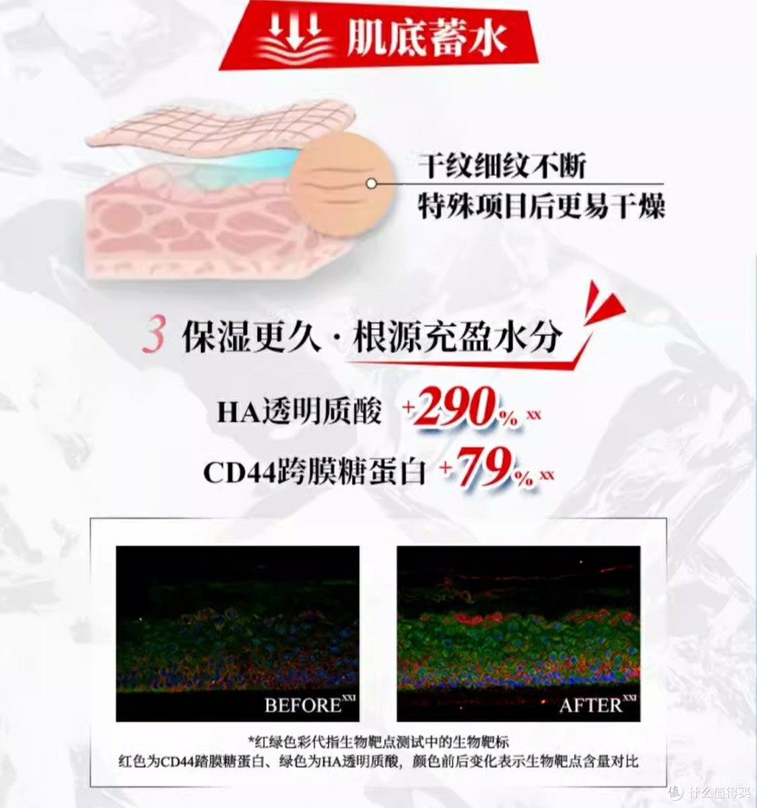 保持肌肤年轻态,看看这几款不错的护肤品,好用还不贵