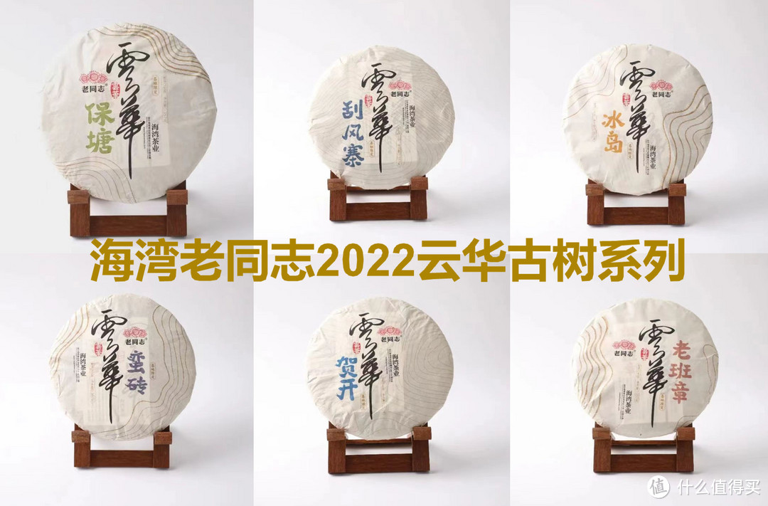 海湾老同志2022云华古树系列部分产品