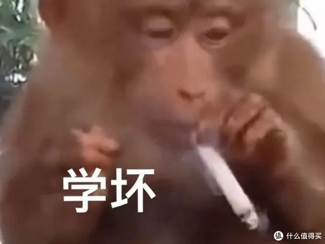 踏子，把之前的始祖鸟还给我，咱们还是可以做朋友的。写在芬子上市前…