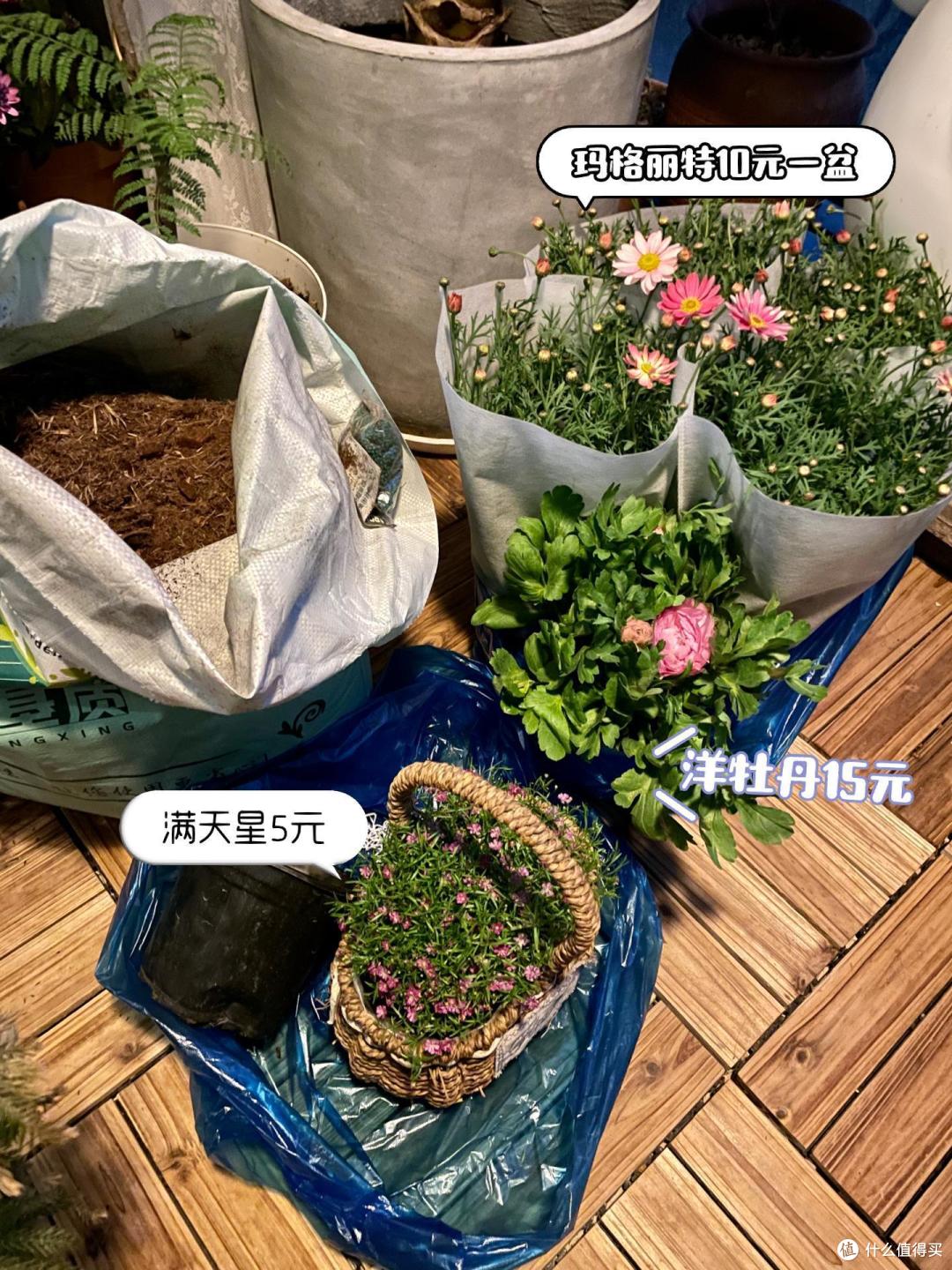 重庆一女太太,拆了一万多的落地窗,种满花草蔬菜,堪称视觉盛宴