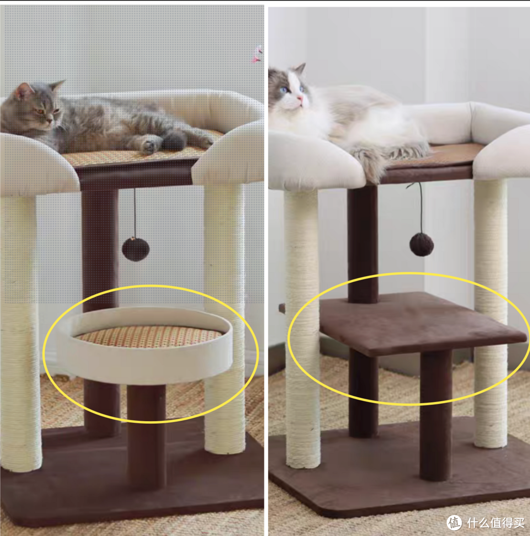 新年宠物新家具，更换更为实用的猫爬架，网红大床猫爬架