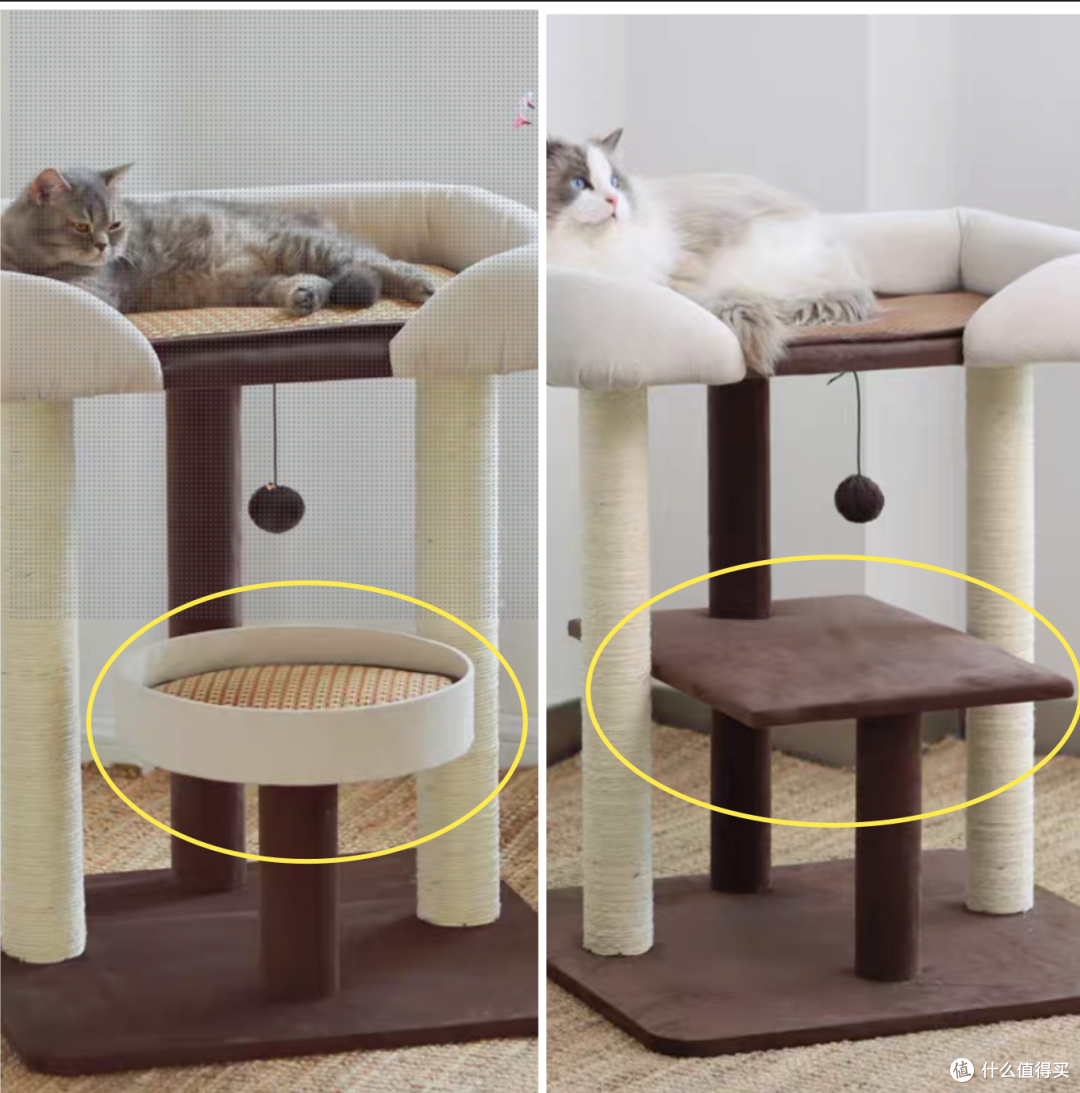 新年宠物新家具,更换更为实用的猫爬架,网红大床猫爬架