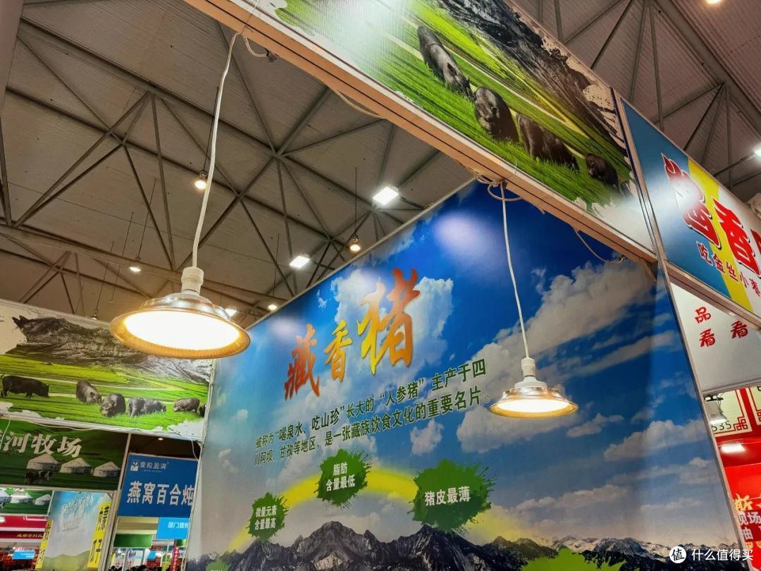 肉香十足,吃过都说好!四川年货节的特色藏香猪你尝了没?