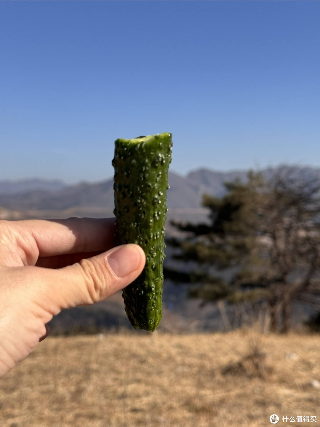 人菜瘾还大，天津蓟县狐狸峪徒步路线推荐