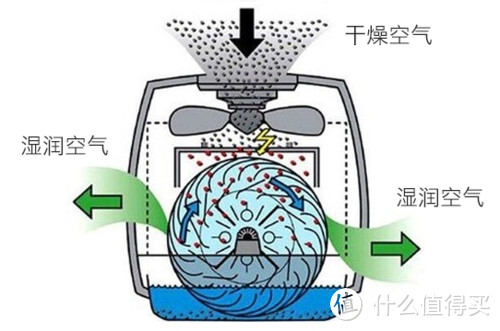 【12款大横评】100-5k全价位加湿器选购推荐丨家用加湿器应该怎么选？加湿器能不能加自来水？