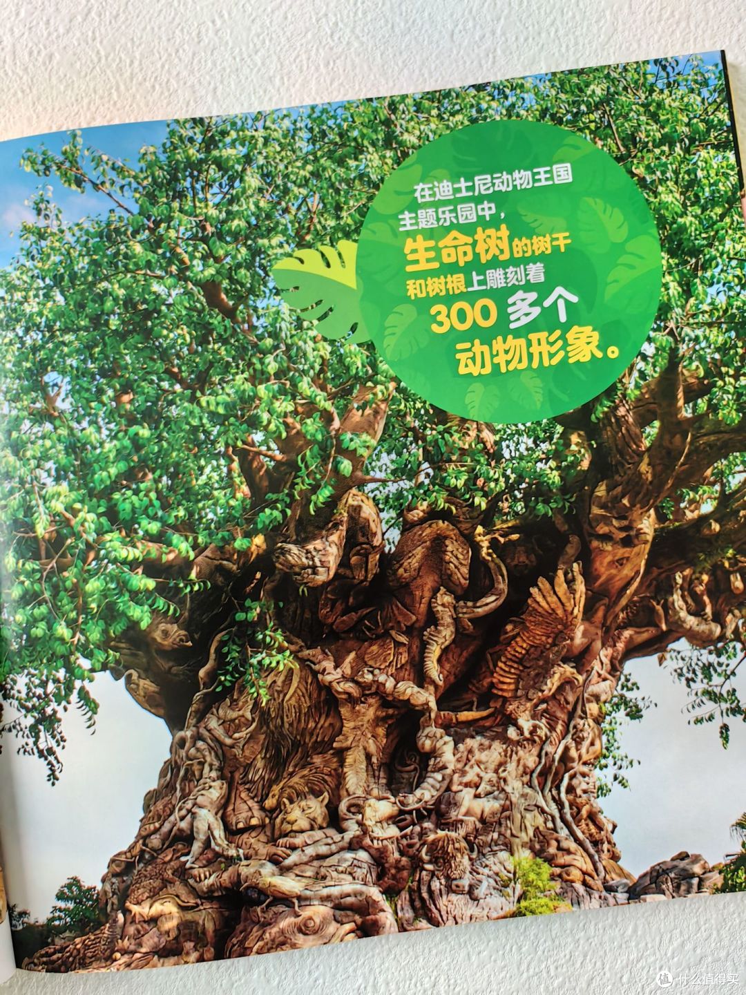 迪士尼100周年限量珍藏绘本！送给孩子的新年礼物