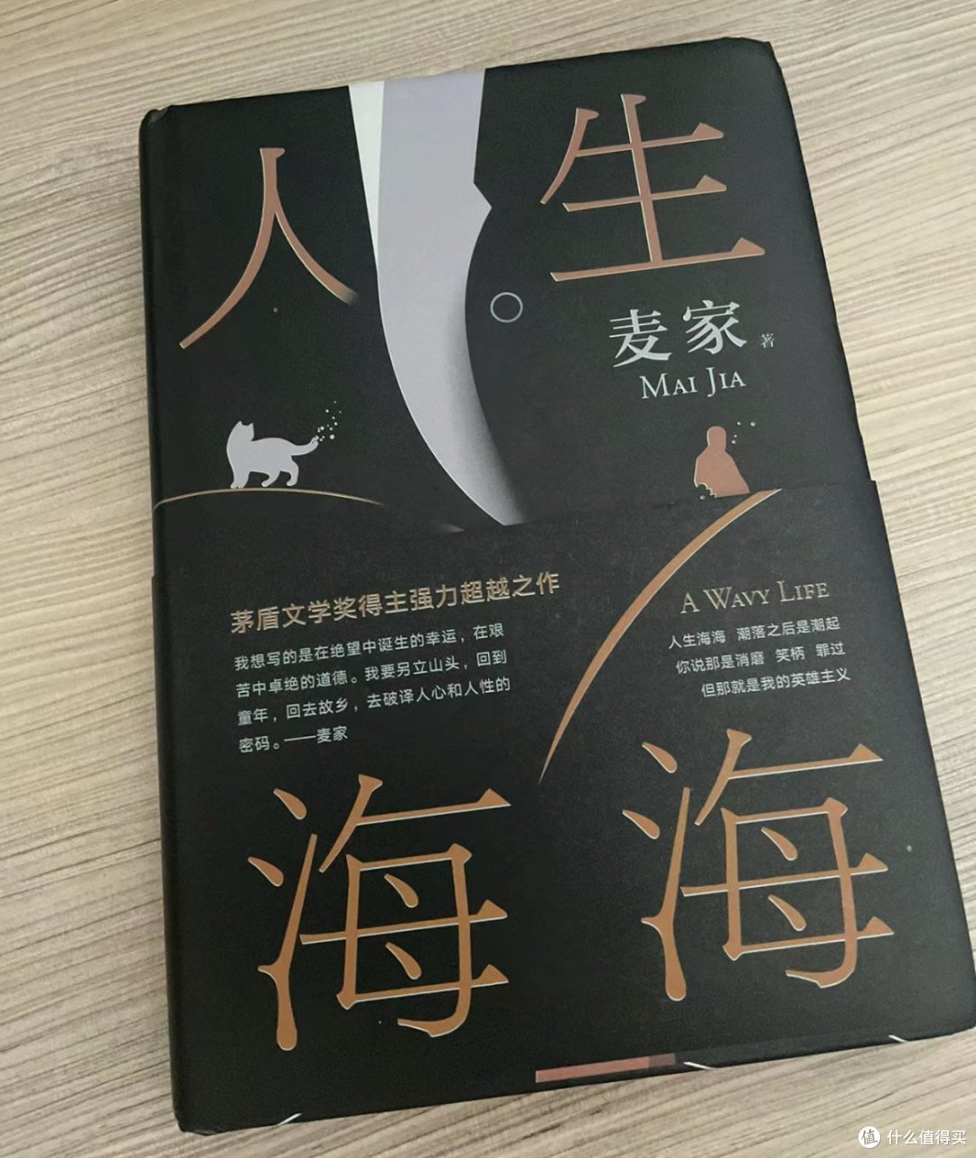 人生海海,浮浮沉沉,不过尔尔!