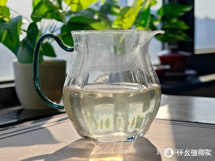 张一元的茉莉花茶怎么样？张一元头牌“金茗眉”品鉴| 一日一茶 [2024/1/23（2）]