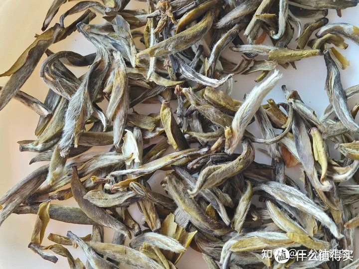 张一元的茉莉花茶怎么样？张一元头牌“金茗眉”品鉴| 一日一茶 [2024/1/23（2）]