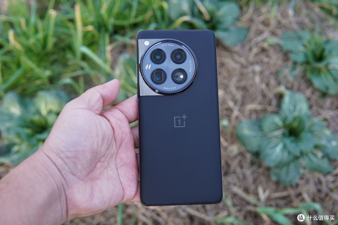 5年未见,盛景如昔——一加12镜头下的厦门马拉松