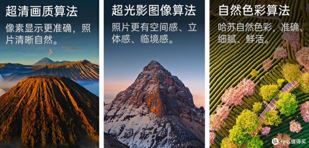 5年未见,盛景如昔——一加12镜头下的厦门马拉松