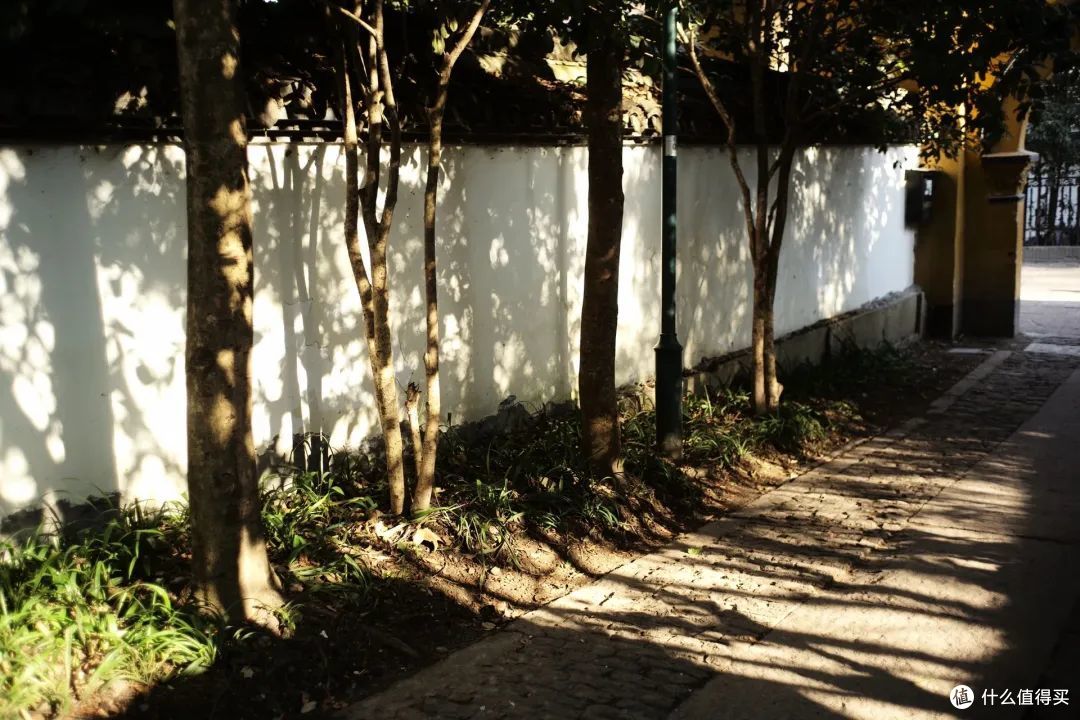 杭州寺庙都成了网红?这个西湖边的道观才是清净地!