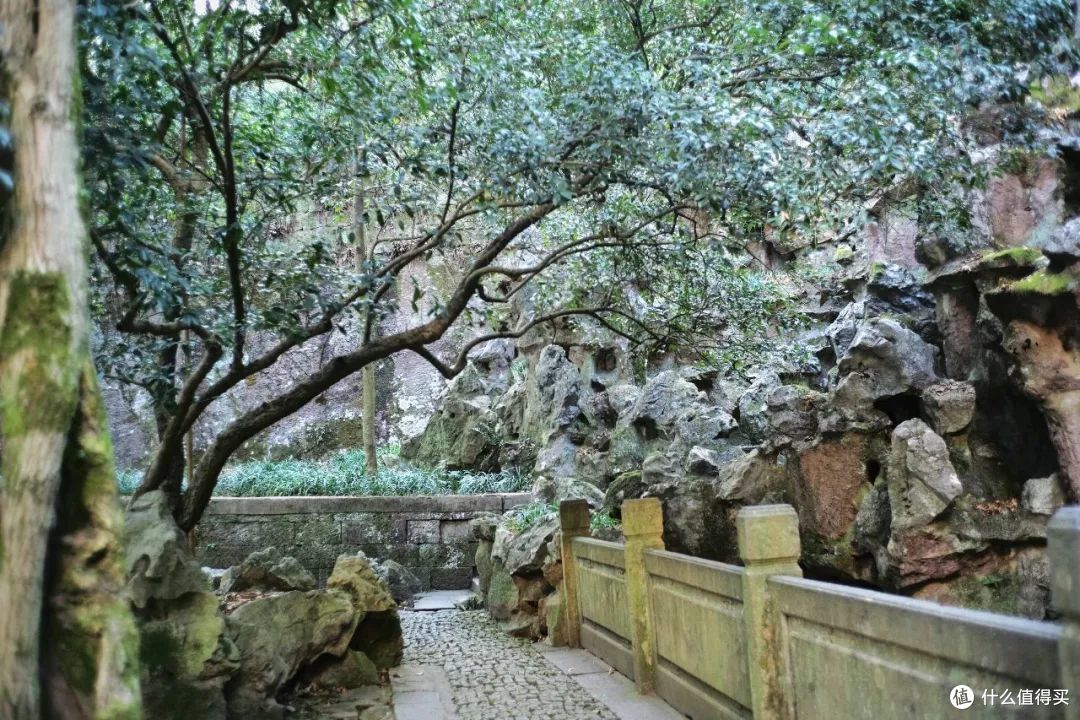 杭州寺庙都成了网红?这个西湖边的道观才是清净地!