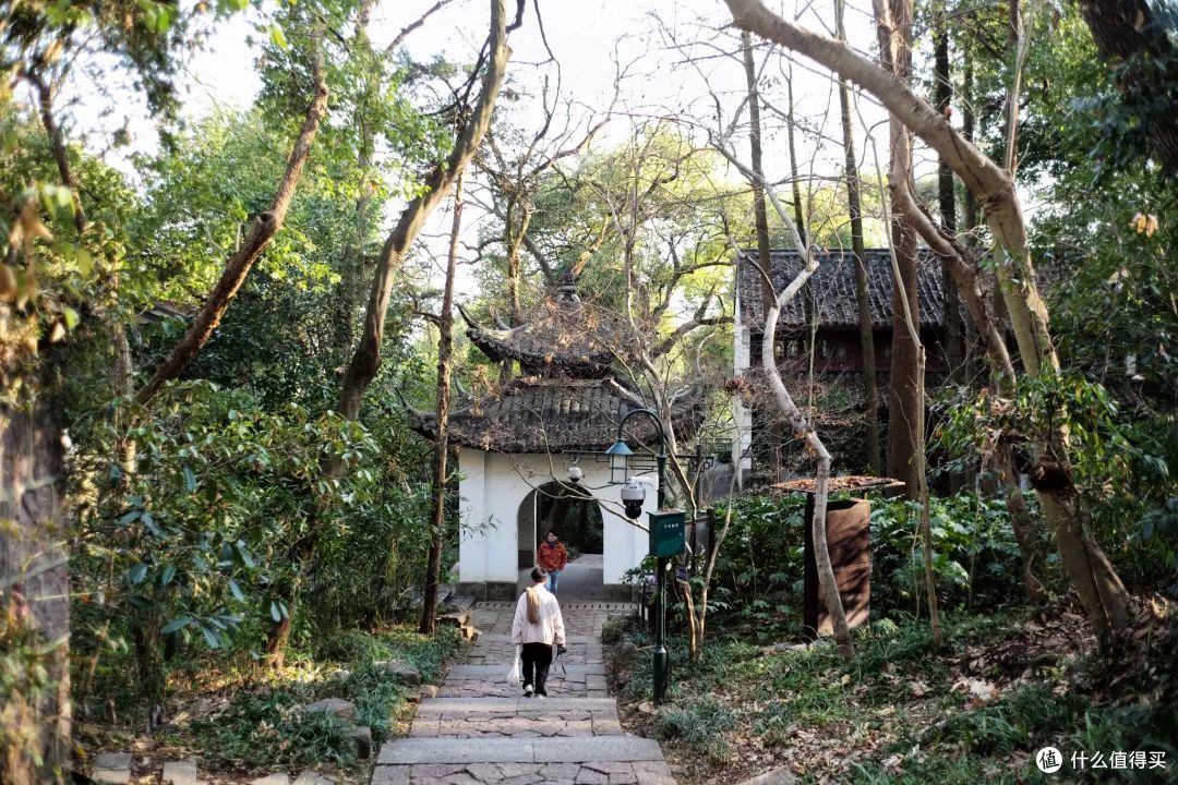 杭州寺庙都成了网红?这个西湖边的道观才是清净地!