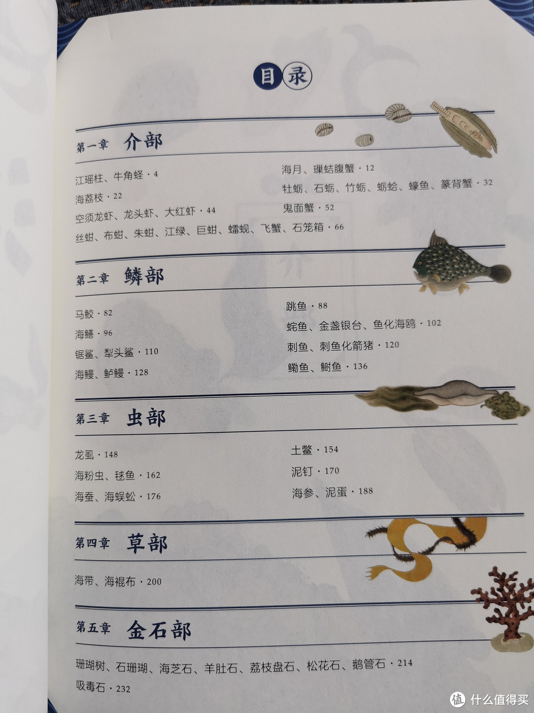 《海错图笔记》青少版2：探索海洋生物的奥秘！