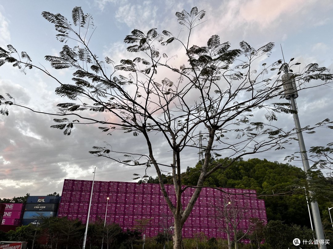 如果有得选,谁会选择失去呢
