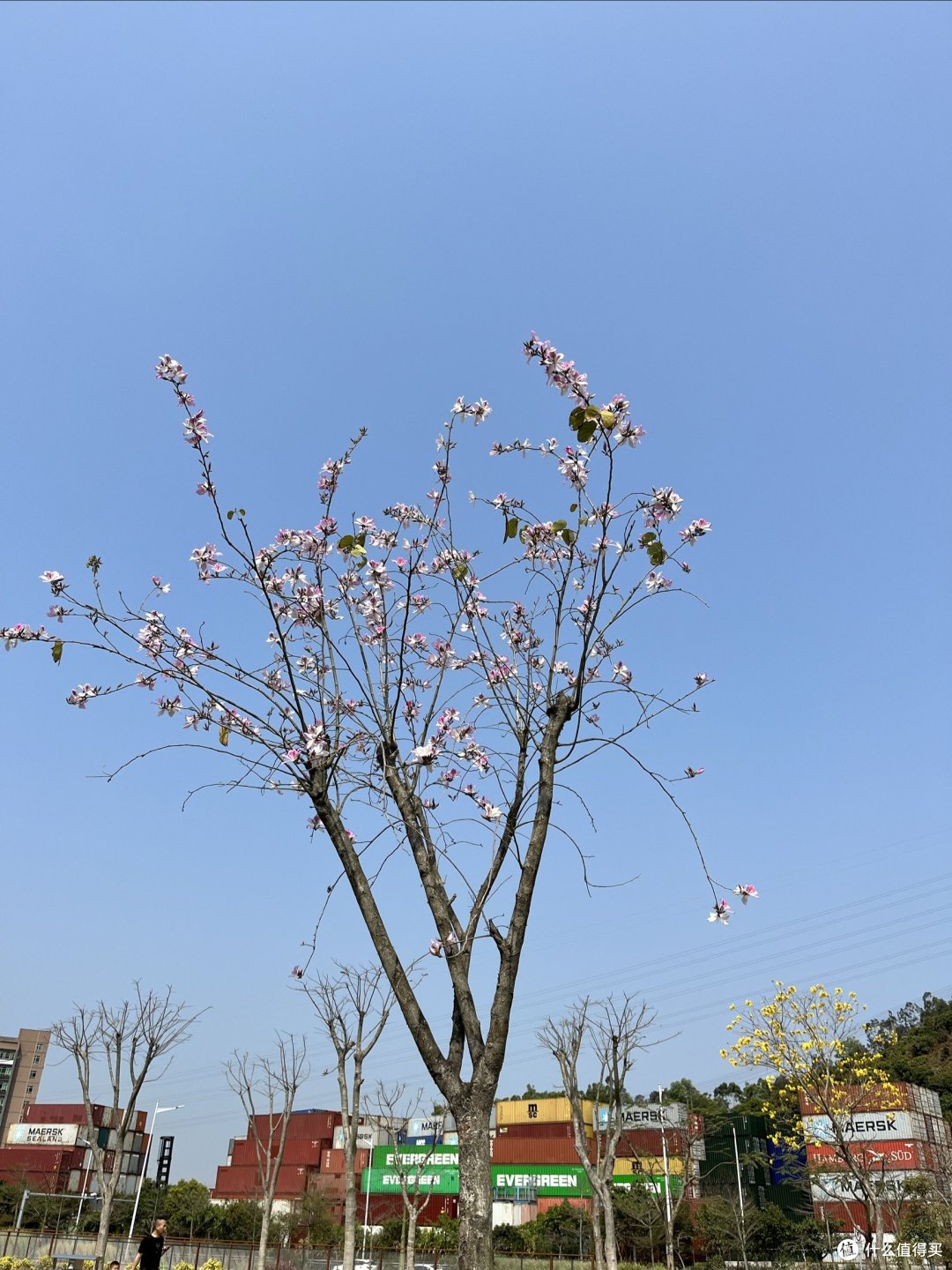 如果有得选,谁会选择失去呢