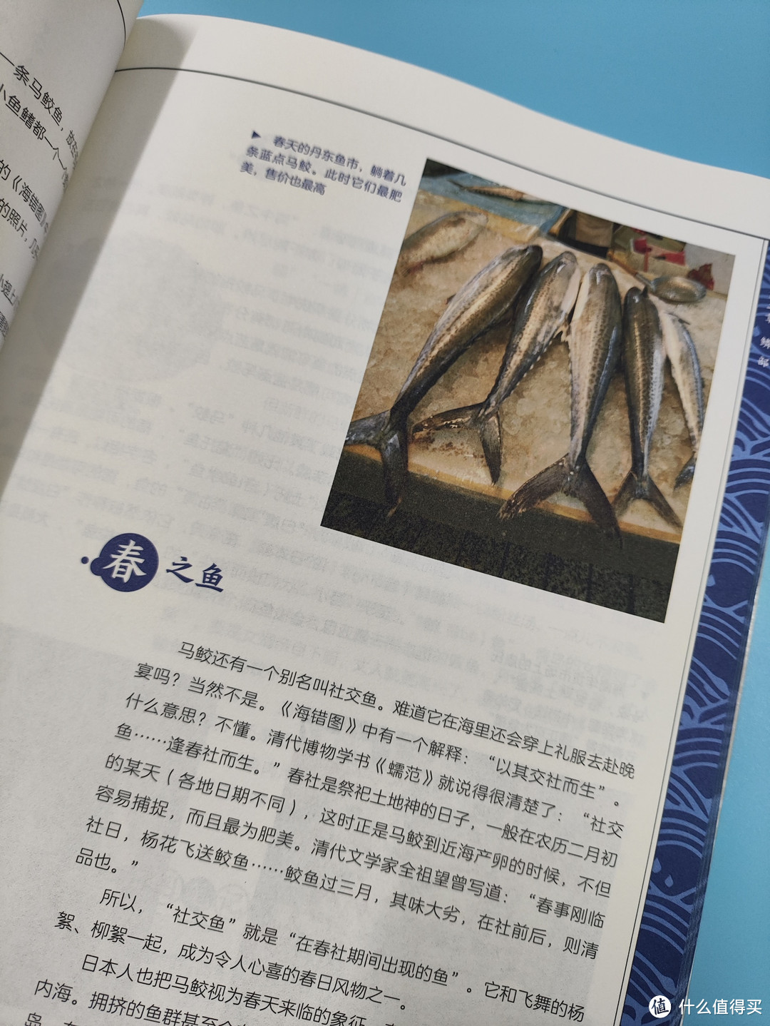 海错图笔记青少年版，带你了解中国海洋生物和文化