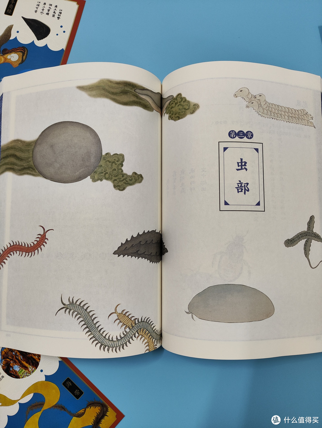海错图笔记青少年版，带你了解中国海洋生物和文化