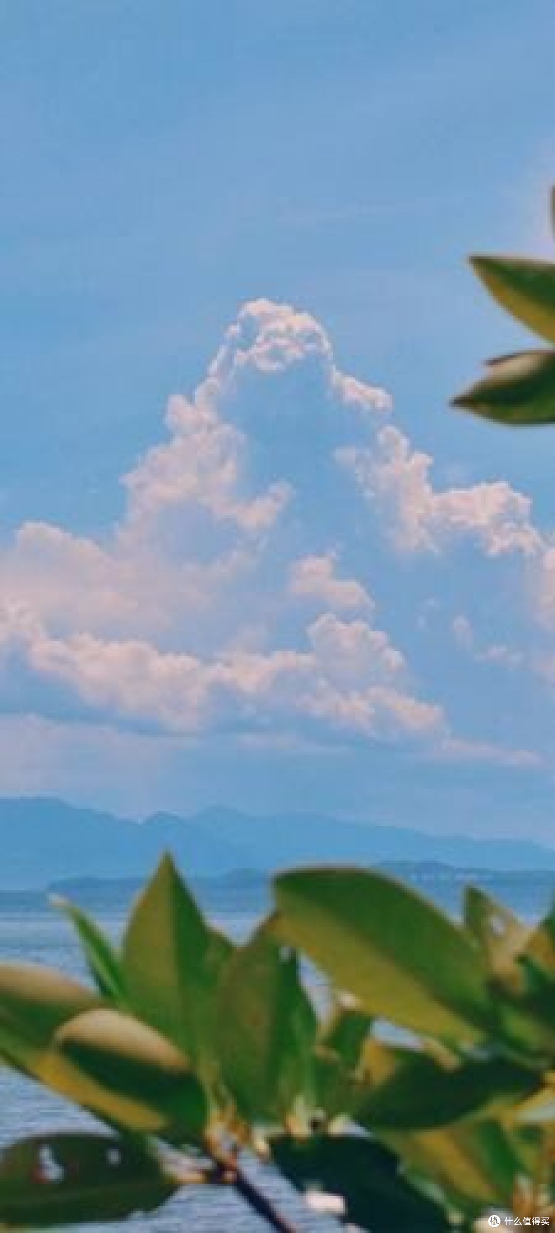滋味"背后的心理与生理反应研究