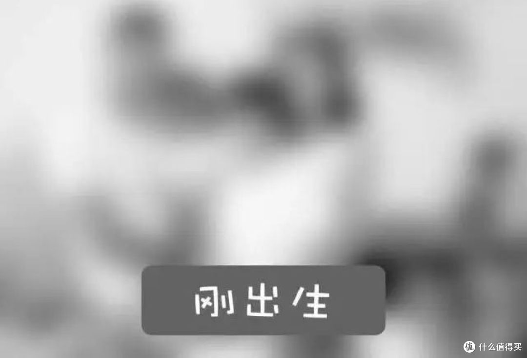 宝宝视力什么时候＂定型＂？别忽略光对视力的影响，保护视力从4点做起