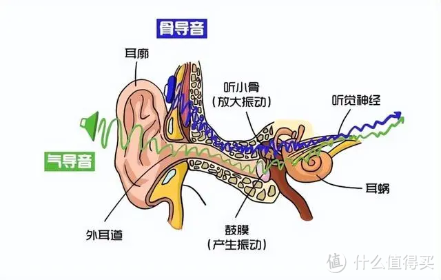 如何选择合适的运动装备作为亲友的龙年新年礼品？