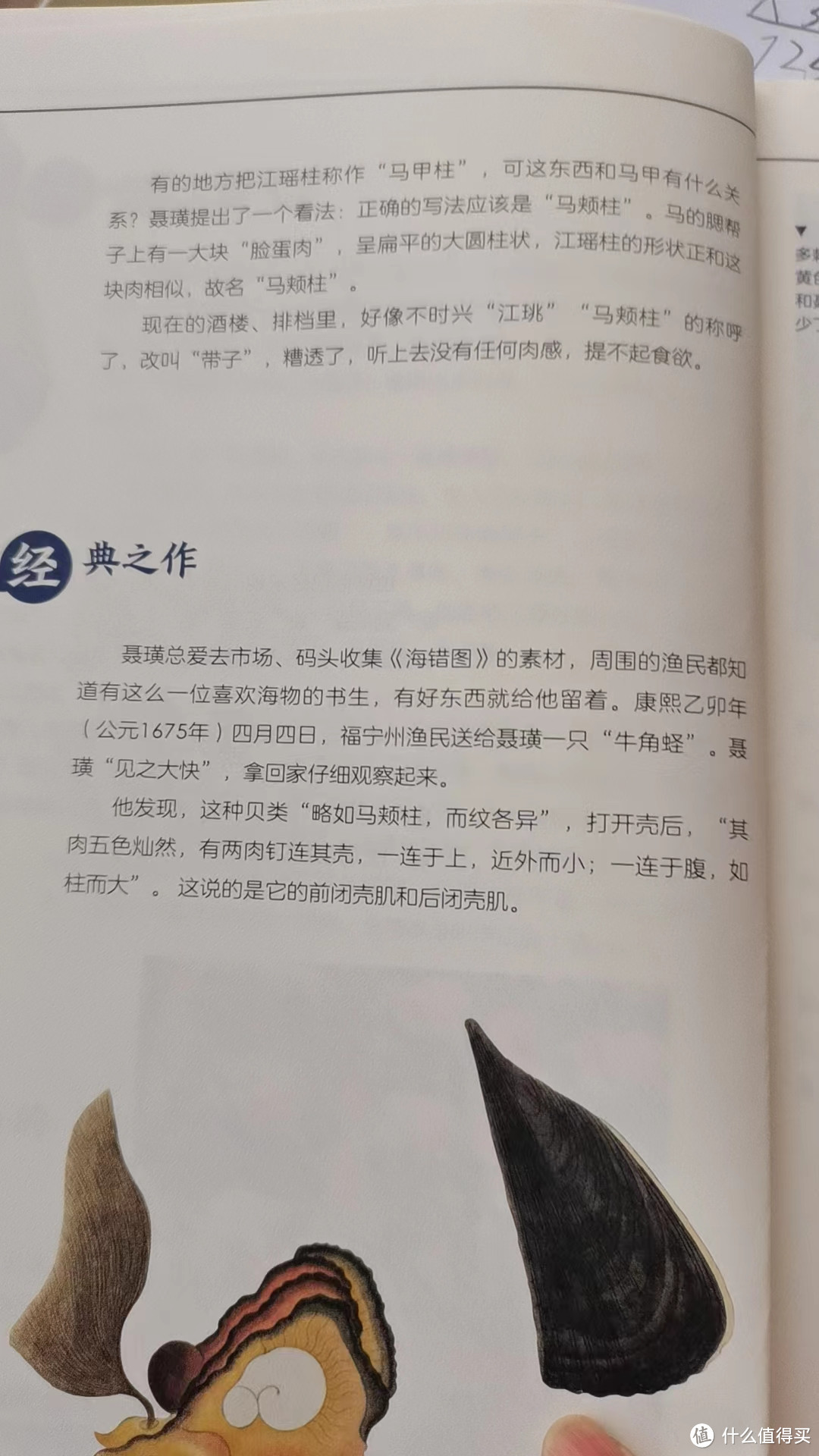 《海错图笔记》带你遨游海洋