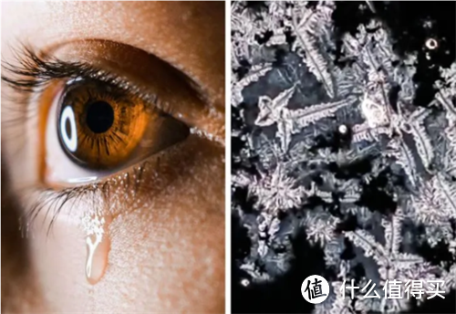 科学有意思｜显微镜下的眼泪你见过吗？