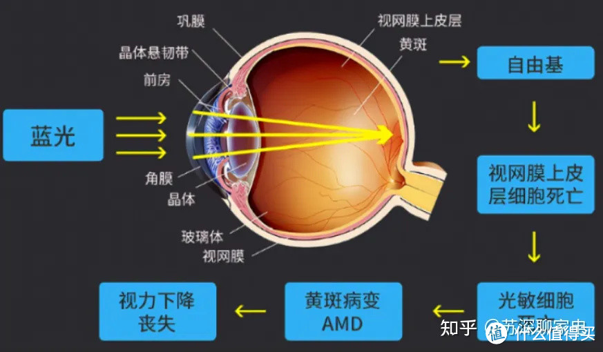 有娃家庭必备护眼吸顶灯分享：欧普智慧光护眼吸顶灯实测！低预算绕不开的选择