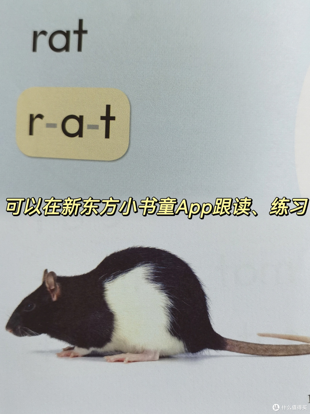 孩子的英语启蒙与学习，必选《PM彩虹英语分级阅读》