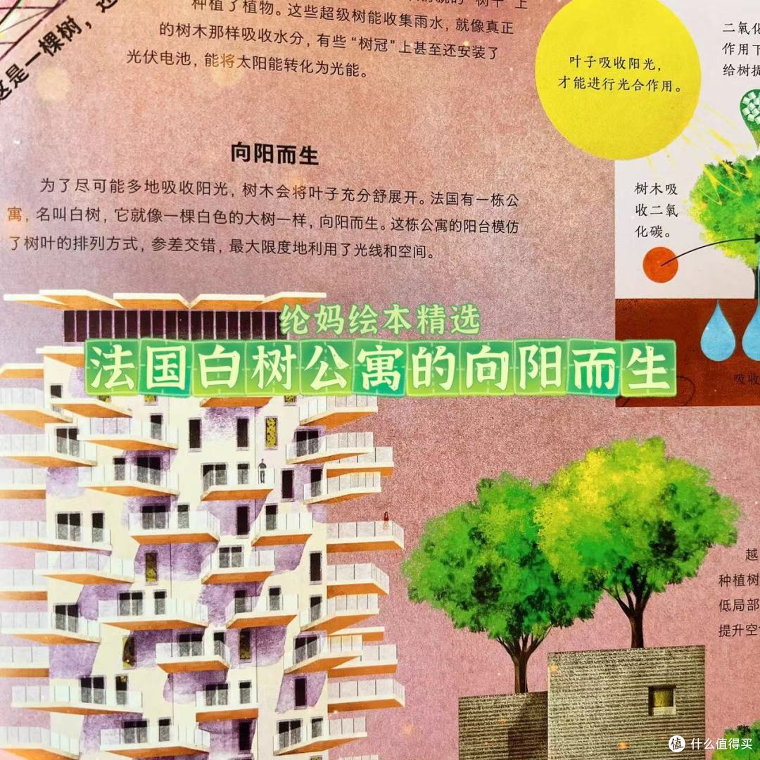 |《天空的礼物》,安迪·沃霍尔风格的仿生学绘本|
