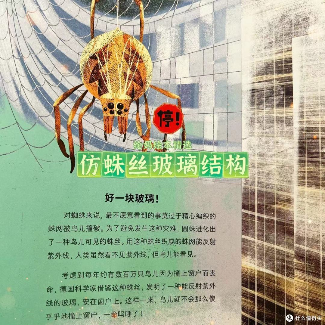 |《天空的礼物》,安迪·沃霍尔风格的仿生学绘本|