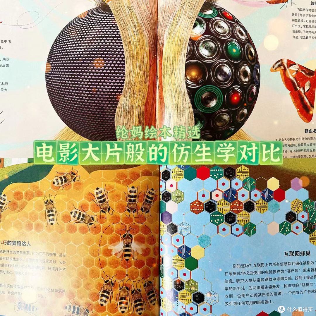 |《天空的礼物》,安迪·沃霍尔风格的仿生学绘本|