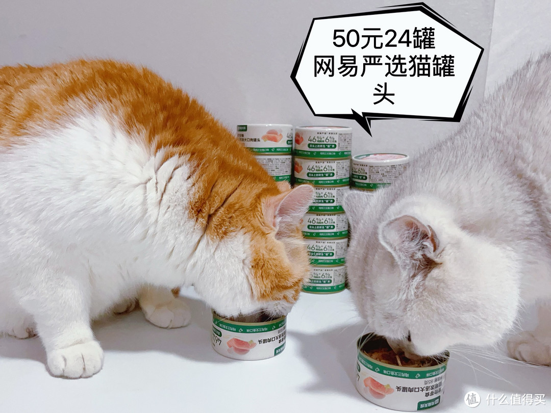 50元24罐网易严选猫罐头，猫咪的幸福肥年！