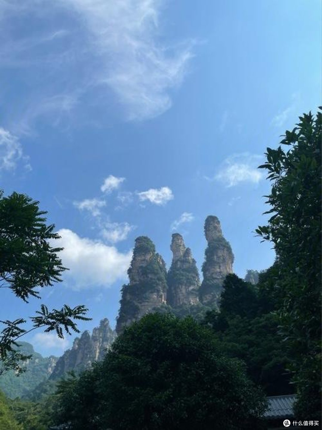 探究扭曲现象的物理本质
