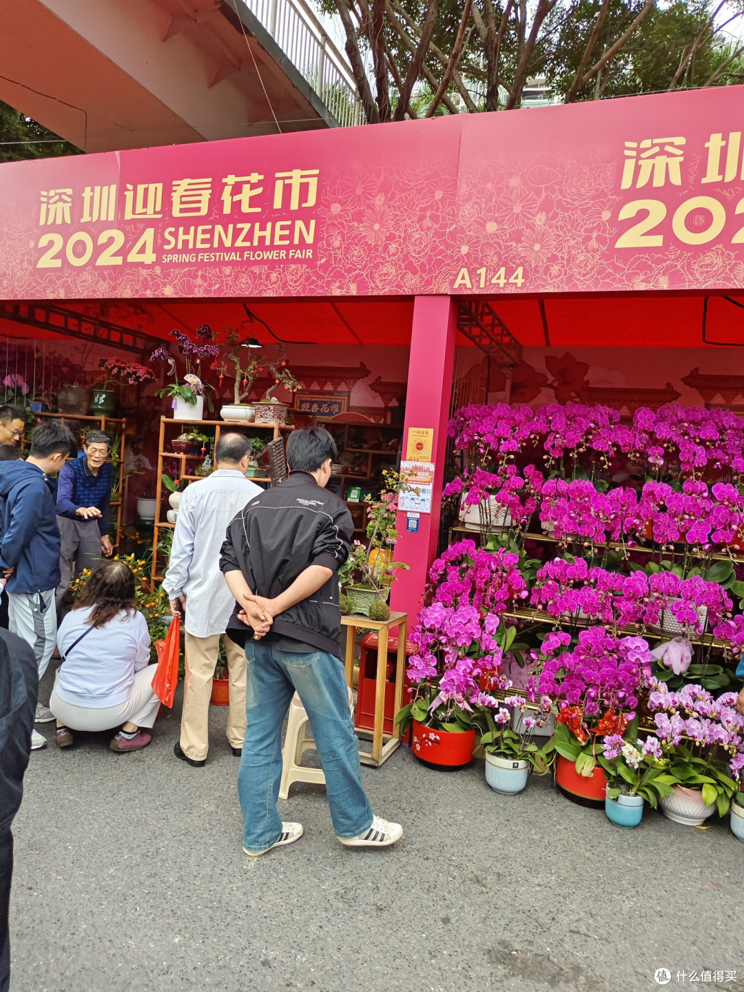 两小宝过年,逛迎春花市