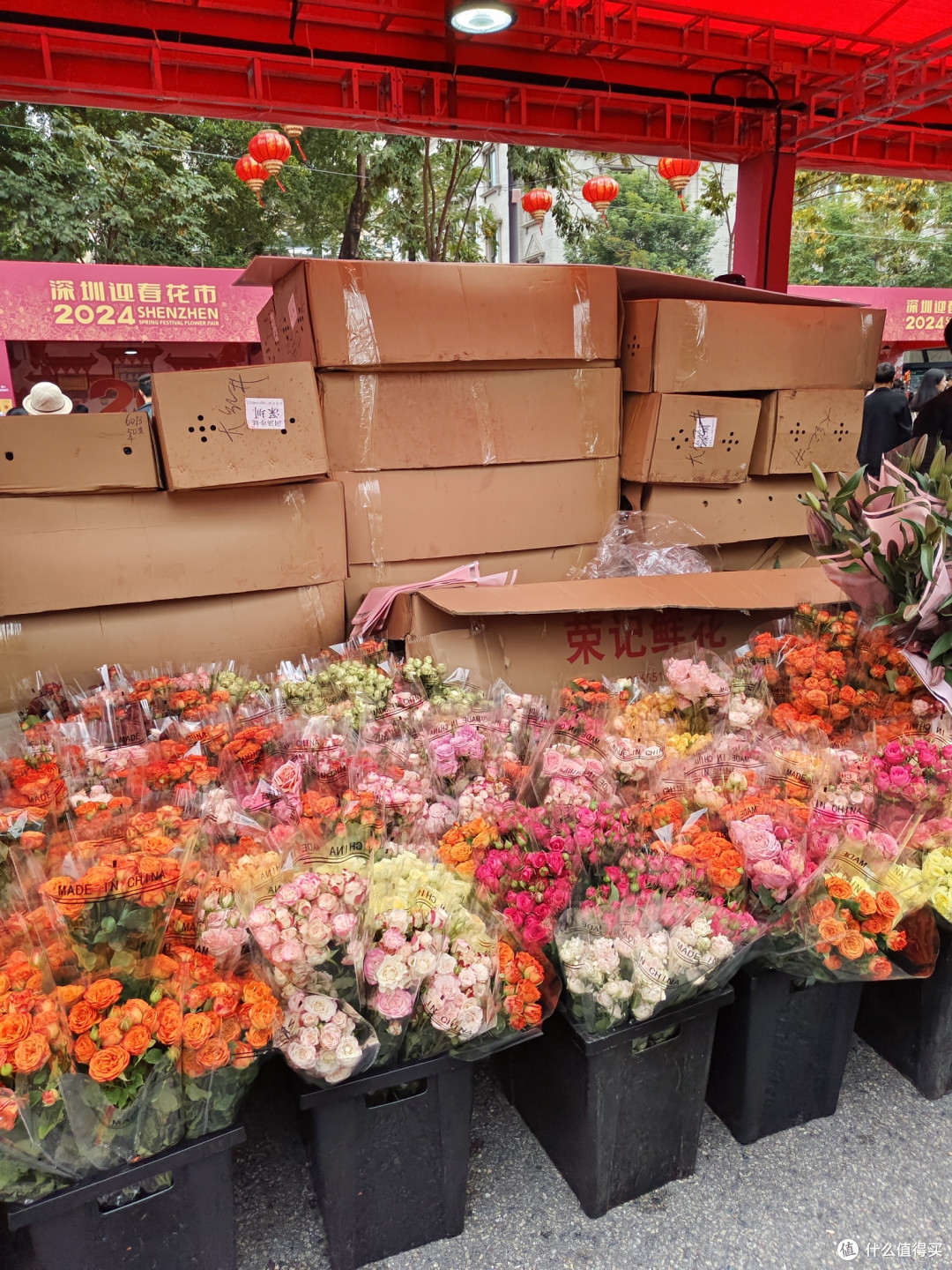 两小宝过年,逛迎春花市