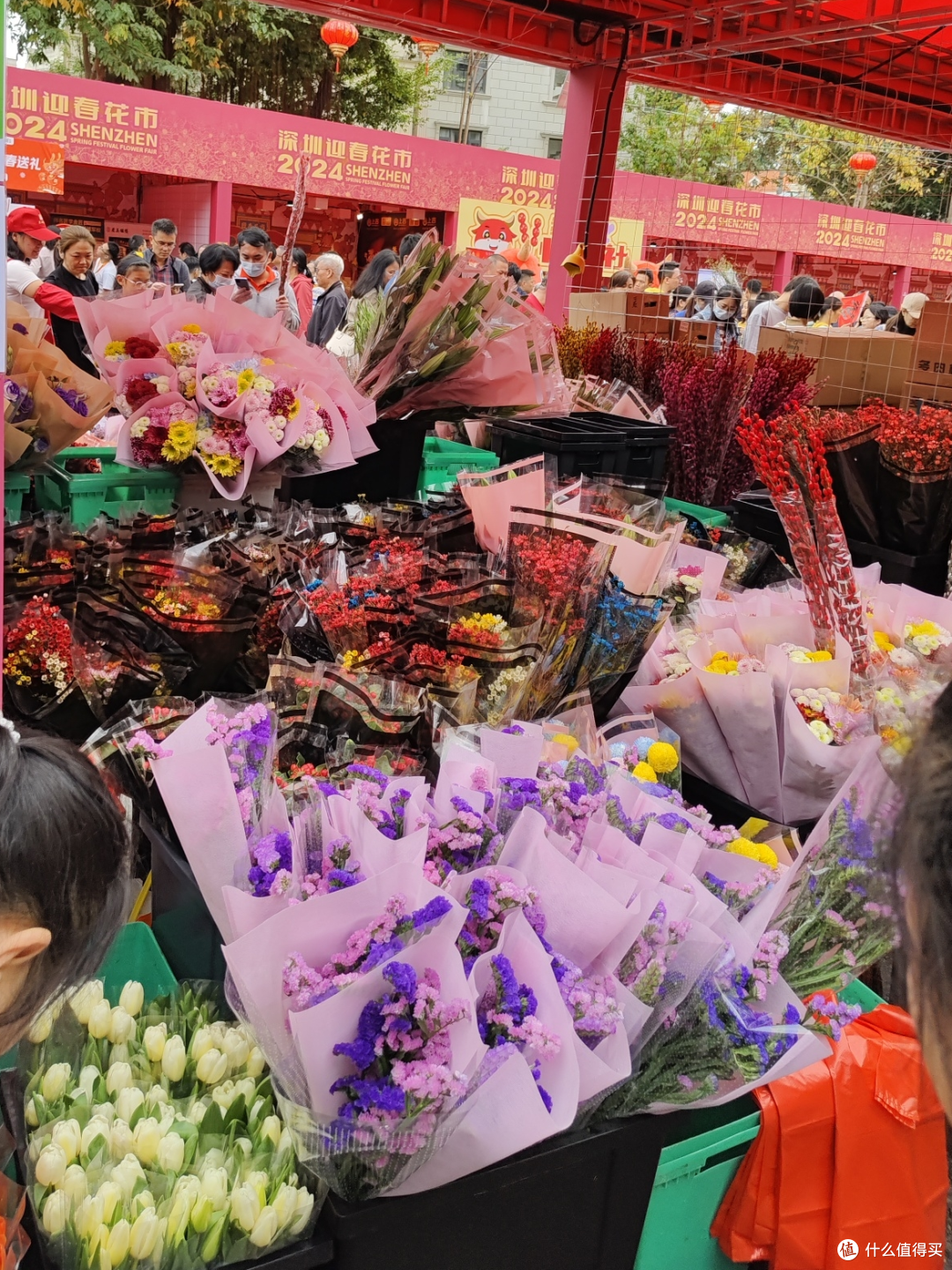 两小宝过年,逛迎春花市