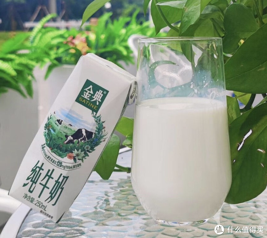 购年货——国货宝藏牛奶