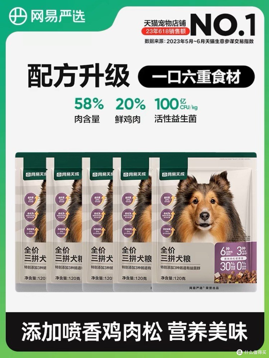 夜幕初降,柔和的月光洒在一座宁静的村落中。