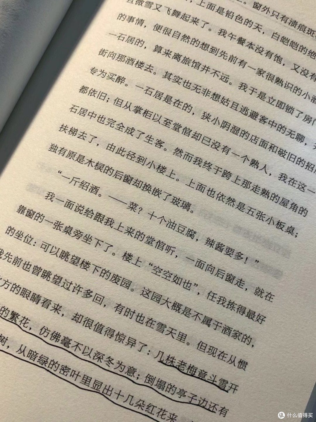 🌔破晓时刻的书香熏陶——读《鲁迅彷徨》📚