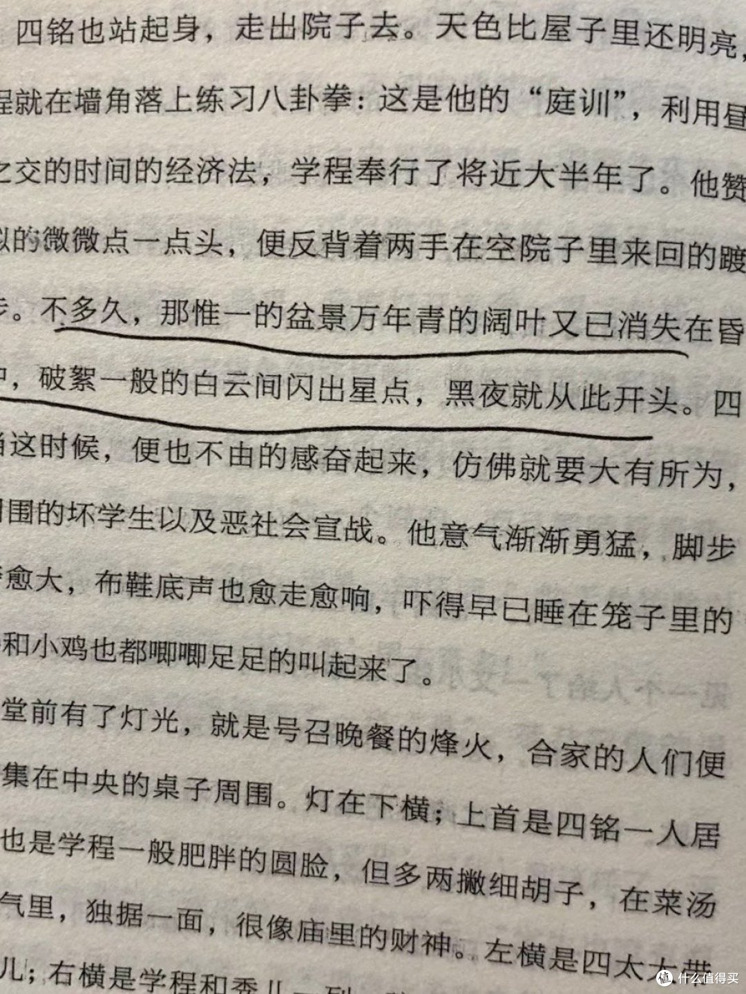 🌔破晓时刻的书香熏陶——读《鲁迅彷徨》📚