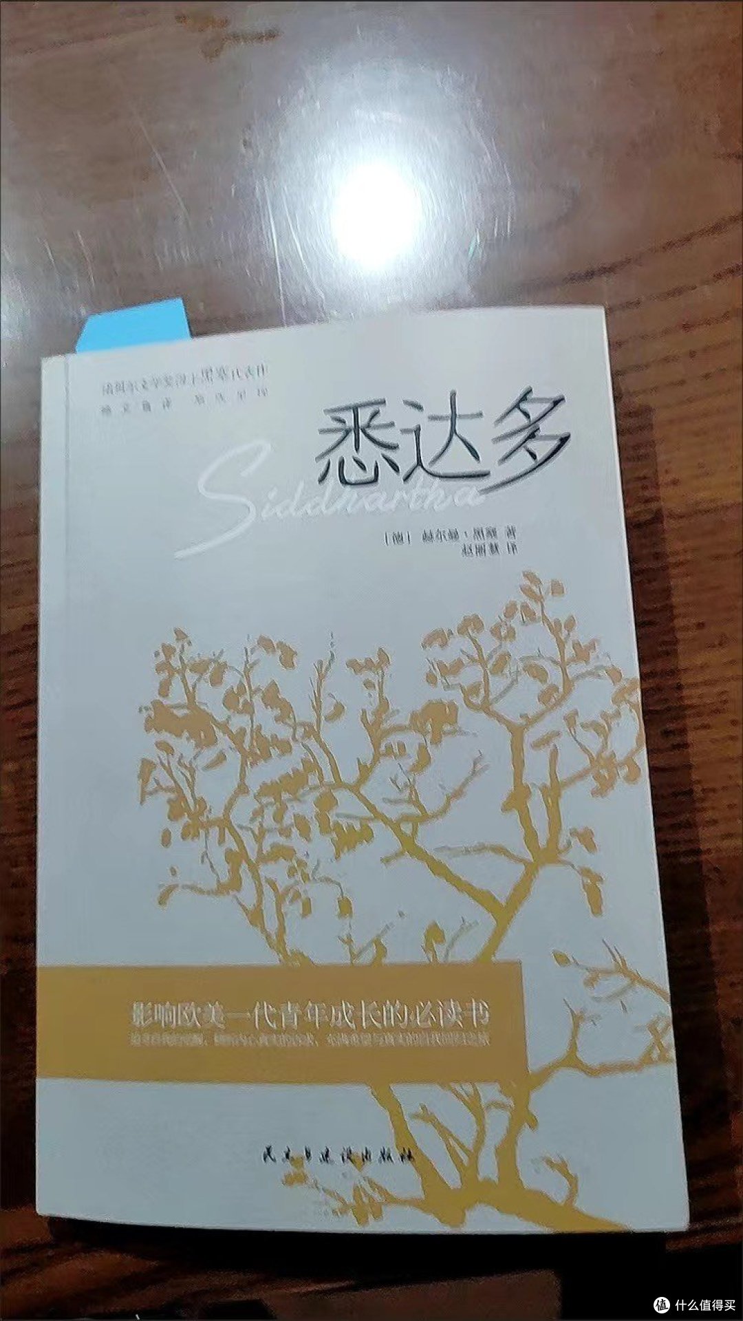 《悉达多》