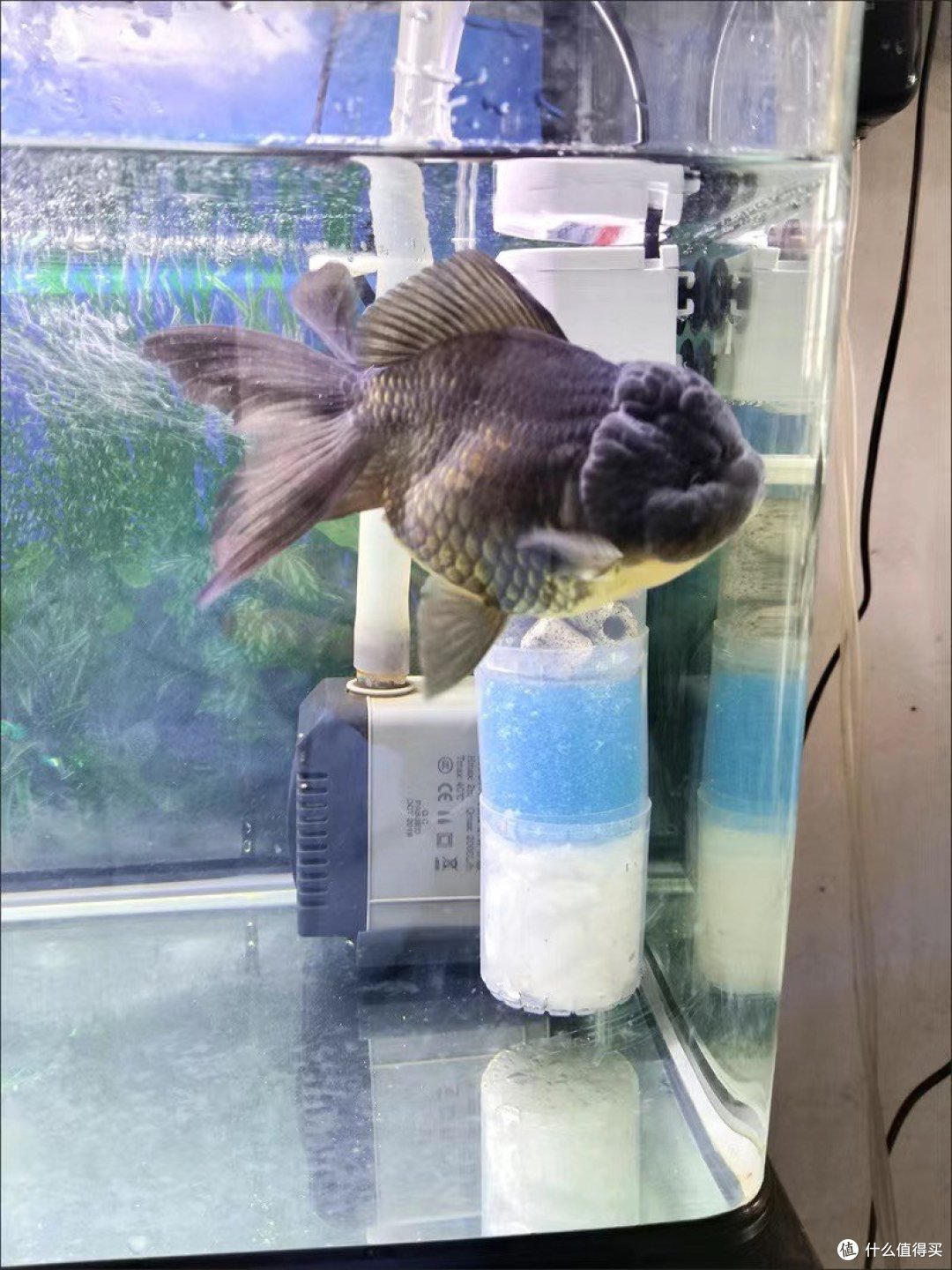 鱼缸过滤器