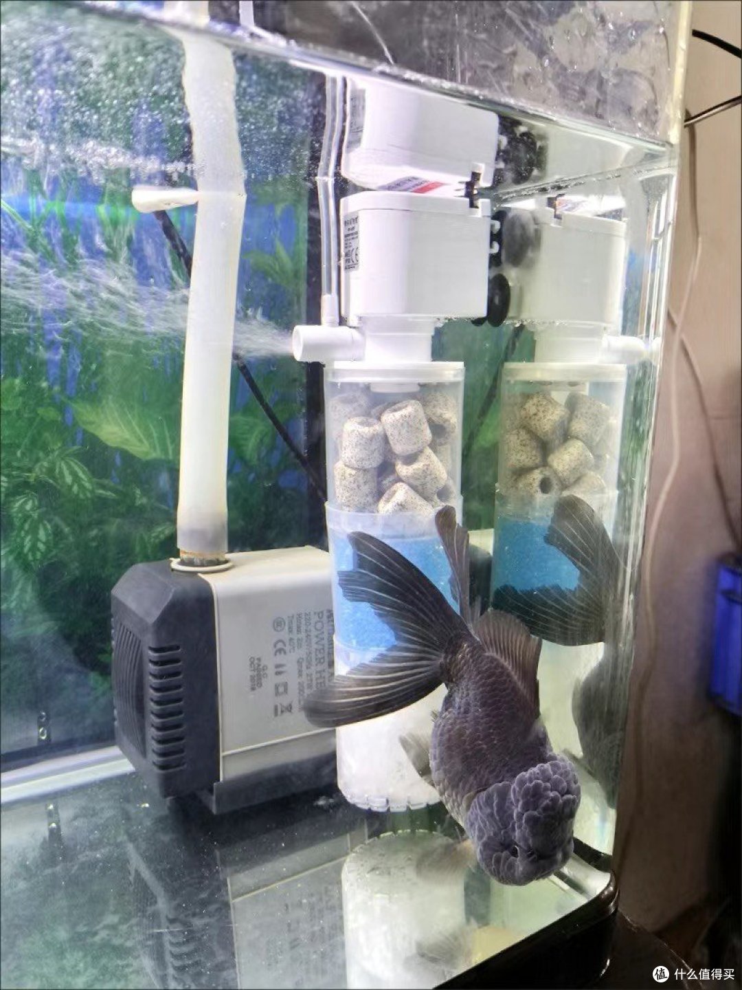 鱼缸过滤器