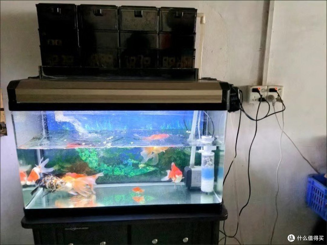 鱼缸过滤器